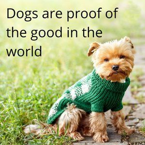 Dogs are proof of good in the world!